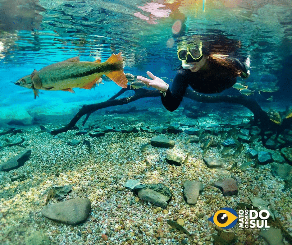 Oportunidades no Turismo de Aventura para Agentes de Viagem no Brasil
