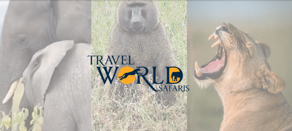 TW Safaris, DMC premium da África, desembarca no Brasil através da plataforma Bureau Mundo